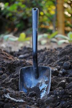 Close-Up of a Garden Shovel in Freshly Dug Soil with Greenery in the Background photo