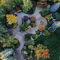 Aerial View of Beautifully Landscaped Garden with Colorful Foliage photo