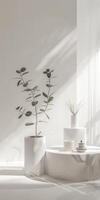 Trendy display stage arrangement featuring products photo