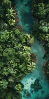 Aerial shot of vibrant jungle ecosystem. photo