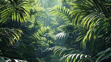 Creative depiction of tropical canopy. photo