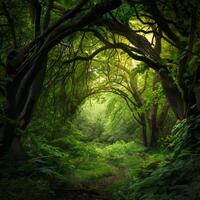 Lush forest with empty space for writing. photo