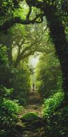 Overlay of a patient's journey and a lush forest, symbolizing vitality. photo