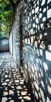 Sunlight Casting Intricate Patterns Through Tree Branches on a White Wall photo