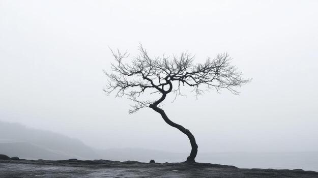 A tree with a long trunk is standing in a field photo