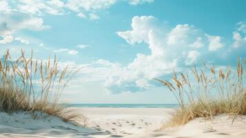 A beach with a cloudy sky and a sandy shore photo