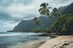 Tropical Beach with Palm Trees and Lush Mountains Under a Cloudy Sky on a Serene Island Coastline photo