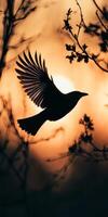 Silhouette of a Bird in Flight Against a Vibrant Sunset Sky with Tree Branches photo