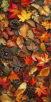 A colorful autumn scene with many leaves and pine cones photo