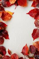Autumn Leaves Frame on White Background with Vibrant Red and Orange Foliage photo