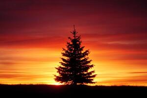 Stunning Silhouette of Lone Pine Tree Against Vibrant Orange and Red Sunset Sky photo
