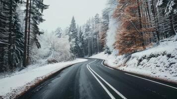 Copy space with a winding road through snowy forests photo