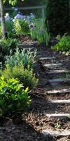 Serene Garden Pathway with Lush Greenery and Blooming Flowers photo