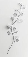 Minimalist Black and White Botanical Illustration of Delicate Branch photo