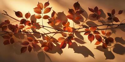 A branch with leaves is shown in a shadow on a wall photo