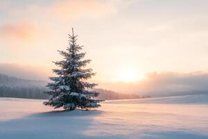 Majestic Winter Landscape with Snow-Covered Pine Tree at Sunrise in Serene Countryside Setting photo