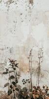 Rustic Wall with Weathered Texture and Delicate Plants in Front of a Vintage photo