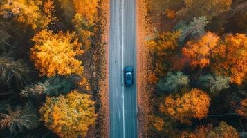 A car is driving down a road with trees on either side photo