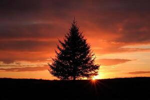 Stunning Silhouette of a Lone Pine Tree Against a Vibrant Sunset Sky with Radiant Sunbeams photo