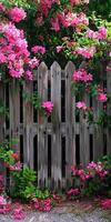 Rustic Wooden Fence Adorned with Vibrant Pink Flowers in a Lush Garden Setting photo