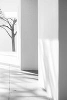 White modernist wall backdrop photo