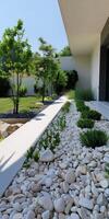 Modern Minimalist Garden with White Pebbles and Greenery photo