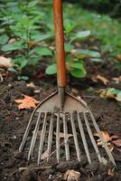 Close-Up of Garden Rake in Soil with Green Plants and Fallen Leaves photo