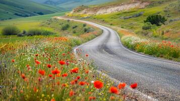 Open space above a winding road bordered by fields of vibrant wildflowers photo