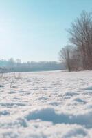 Serene Winter Landscape with Snow-Covered Field and Bare Trees Under a Clear Blue Sky on a Sunny Day photo