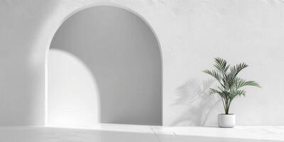 Minimalist Interior with White Arch and Potted Plant Casting Shadows on a Sunlit Wall photo