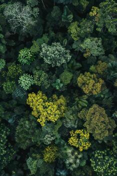 aéreo ver de denso selva pabellón. foto