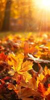 Golden Autumn Leaves on Sunlit Ground Capturing the Warmth and Beauty of Fall Season photo