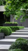 Modern Minimalist Garden with Geometric Design and Greenery in Urban Setting photo