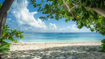 Panoramic view of a tropical beach getaway with space for your custom text photo