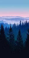 Silhouetted forest skyline against the glow of twilight. photo