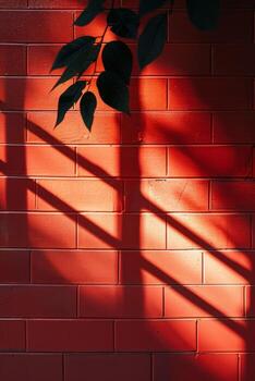 Simple wall shadow effect photo