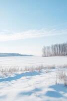 Serene Winter Landscape with Snow-Covered Field and Bare Trees Under Clear Blue Sky photo