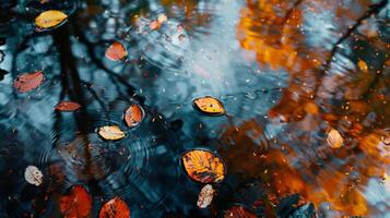 A pond with leaves floating on the surface photo