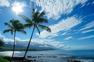 Stunning Tropical Beach with Palm Trees and Clear Blue Sky on a Sunny Day photo