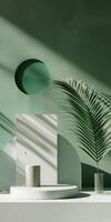 Minimalist Green Interior Design with Palm Leaf and Geometric Shapes in Sunlight photo