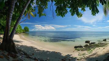 Panoramic view of a tropical beach setting with clear area for your custom text photo