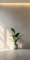Minimalist Interior with Potted Plant and Natural Light in Modern Living Space photo