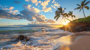 A beautiful beach with a palm tree in the background photo
