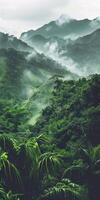 Double exposure of rainforest and valleys. photo