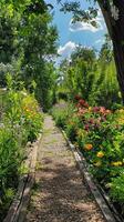 Beautiful Garden Pathway with Colorful Flowers and Lush Greenery on a Sunny Day photo
