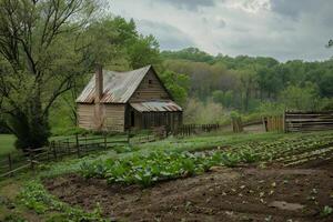 Rustic Wooden Cabin in Lush Green Countryside with Vegetable Garden and Overcast Sky photo