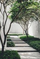 Serene Modern Garden Pathway with Lush Greenery and Minimalist Design Elements photo