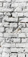 Textured White Brick Wall Background with Natural Light and Shadow Patterns photo