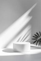 Subtle gradient on the white background adds depth and dimension to the composition photo