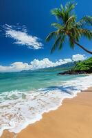 Tropical Beach Paradise with Palm Trees, Turquoise Ocean Waves, and Clear Blue Sky on a Sunny Day photo